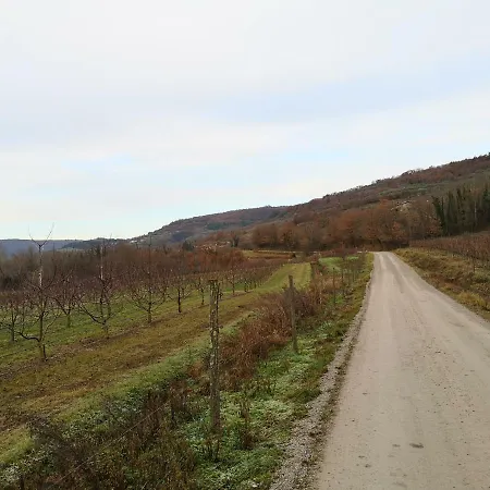 Appartamento Olivia Šmarje Esterno foto