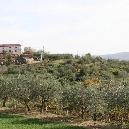 Appartamento Olivia Šmarje Esterno foto