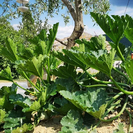 Appartamento Olivia Šmarje Esterno foto