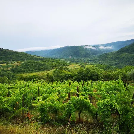 Appartamento Olivia Šmarje Esterno foto